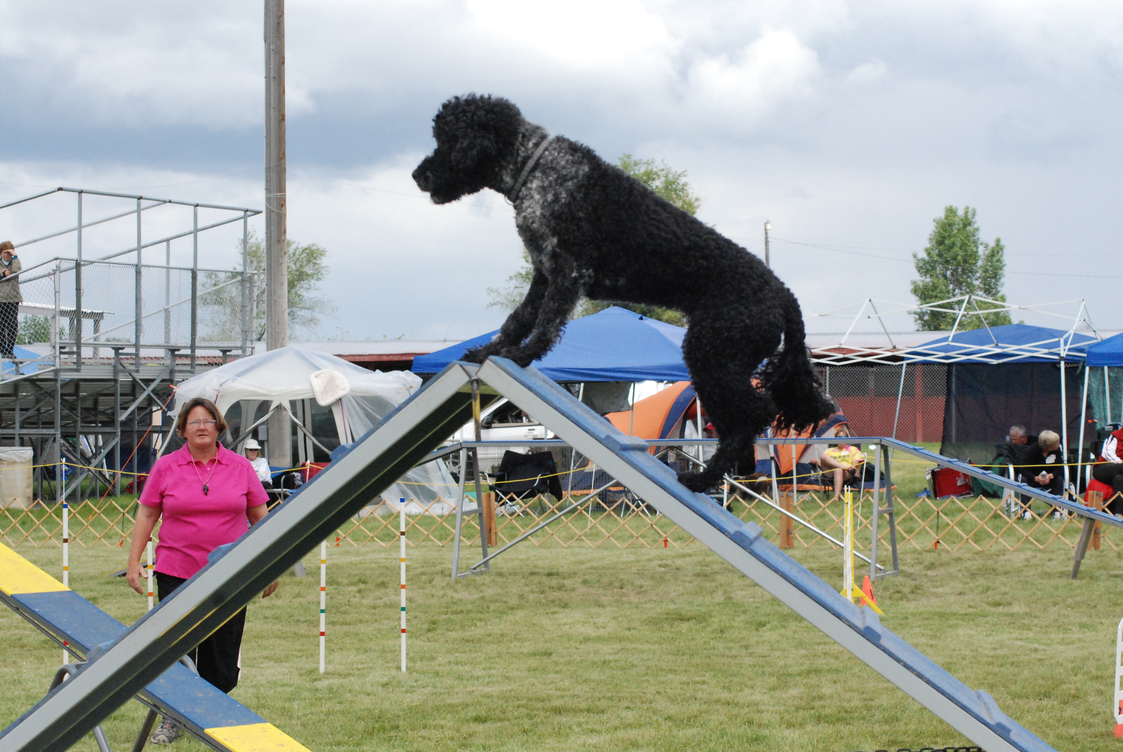 Agility 1 – Beginning Agility – May 15, 2024 (Wednesday nights) – 6:00 ...